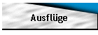 Ausflge